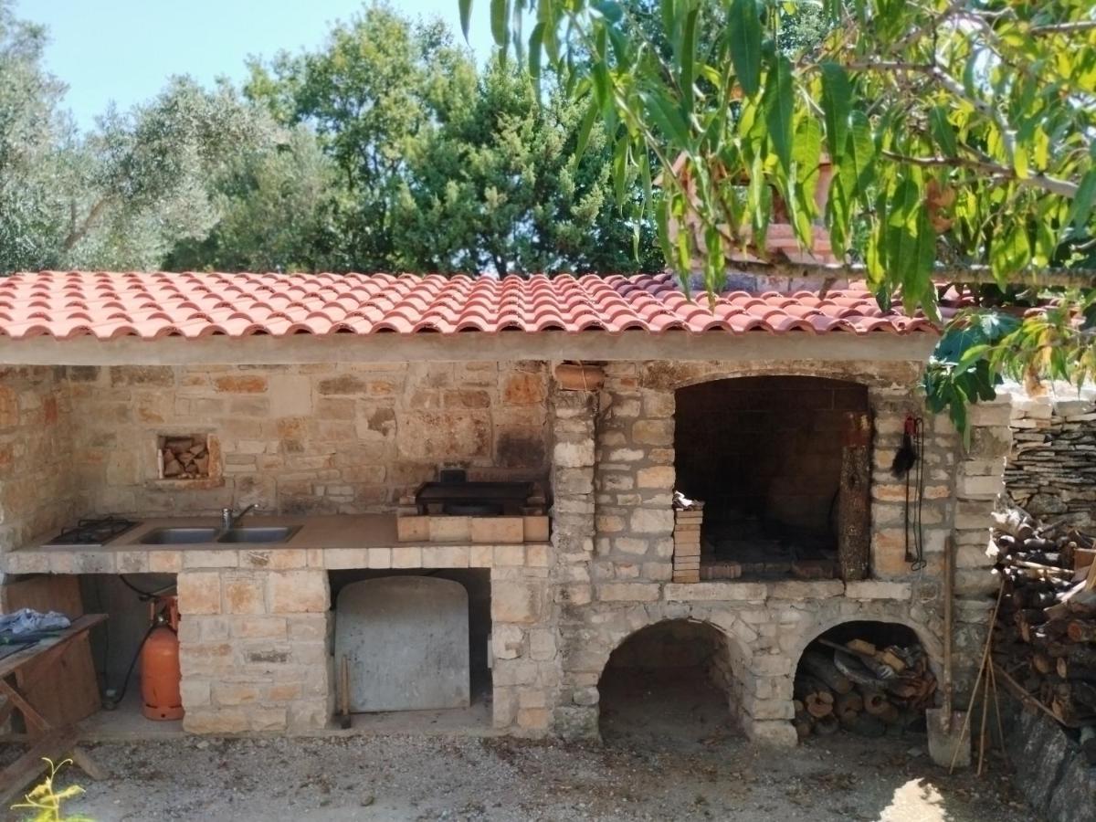 Marti'S House In The Olive Grove Apartment Fazana Ngoại thất bức ảnh