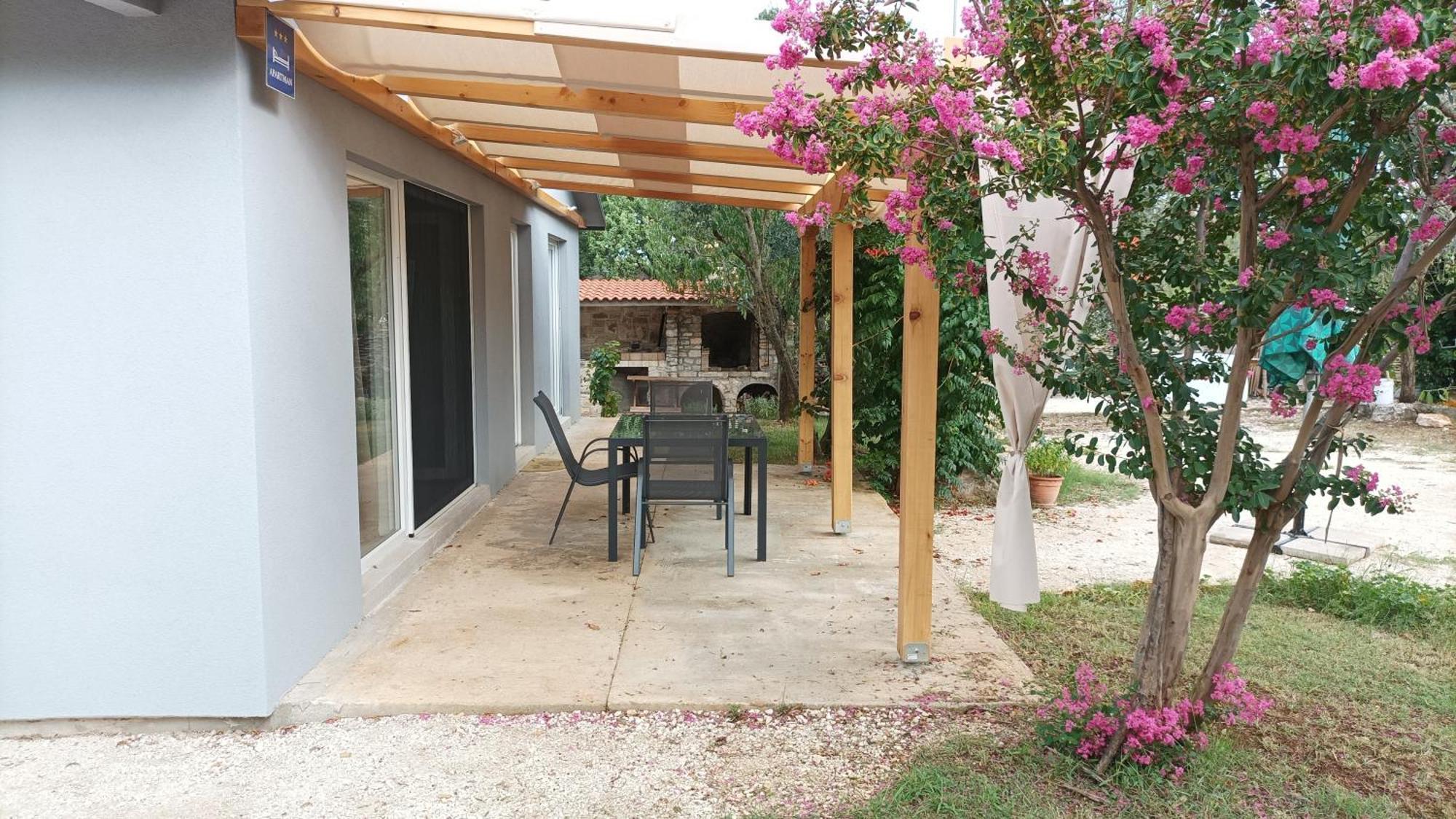 Marti'S House In The Olive Grove Apartment Fazana Ngoại thất bức ảnh