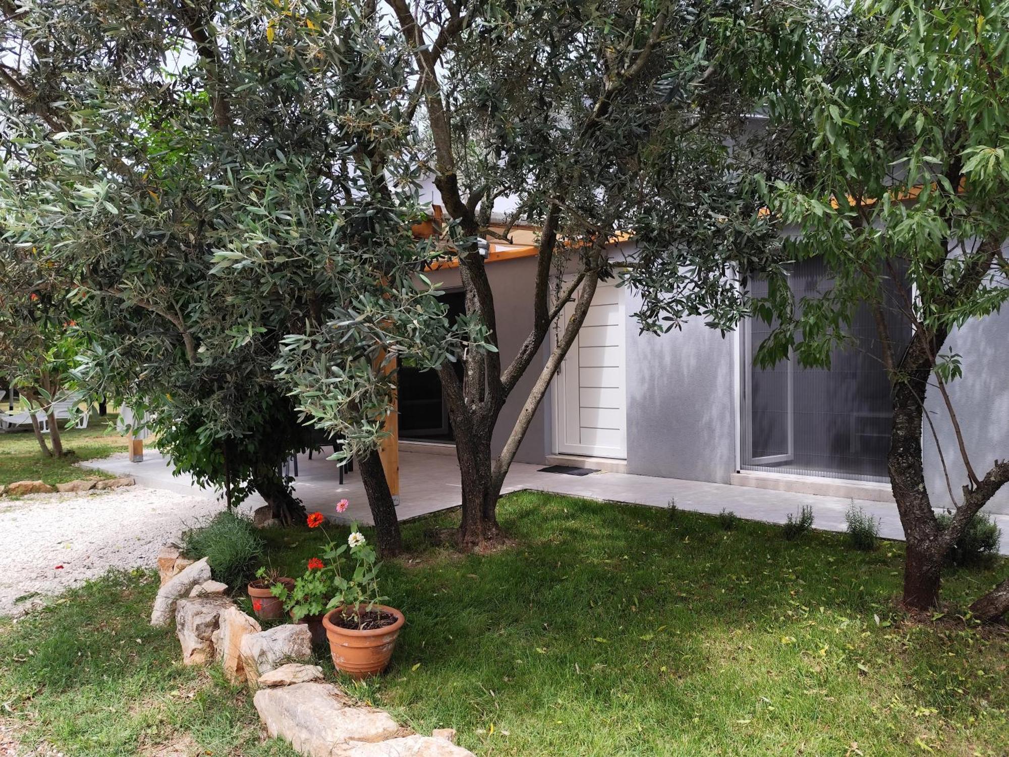Marti'S House In The Olive Grove Apartment Fazana Ngoại thất bức ảnh